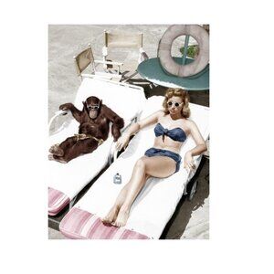 Chimpanzee And A Woman Sunbathing Poster 170